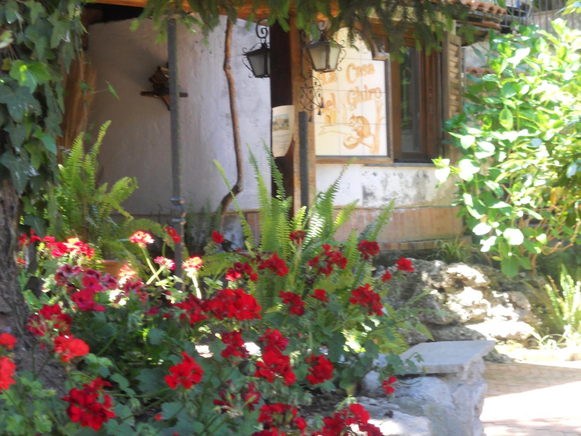 Agriturismo La Casa Del Ghiro Pimonte Exteriér fotografie