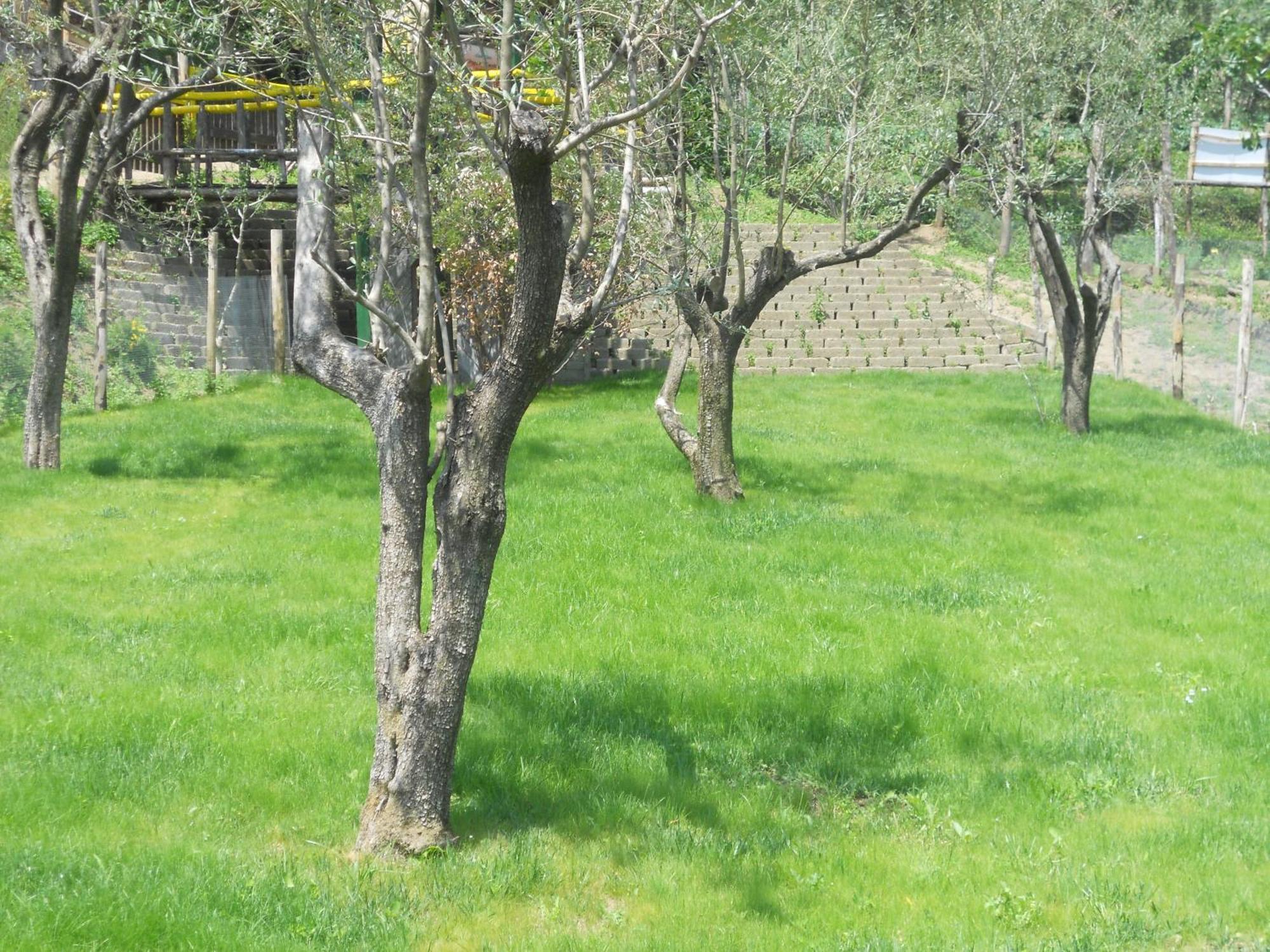 Agriturismo La Casa Del Ghiro Pimonte Exteriér fotografie