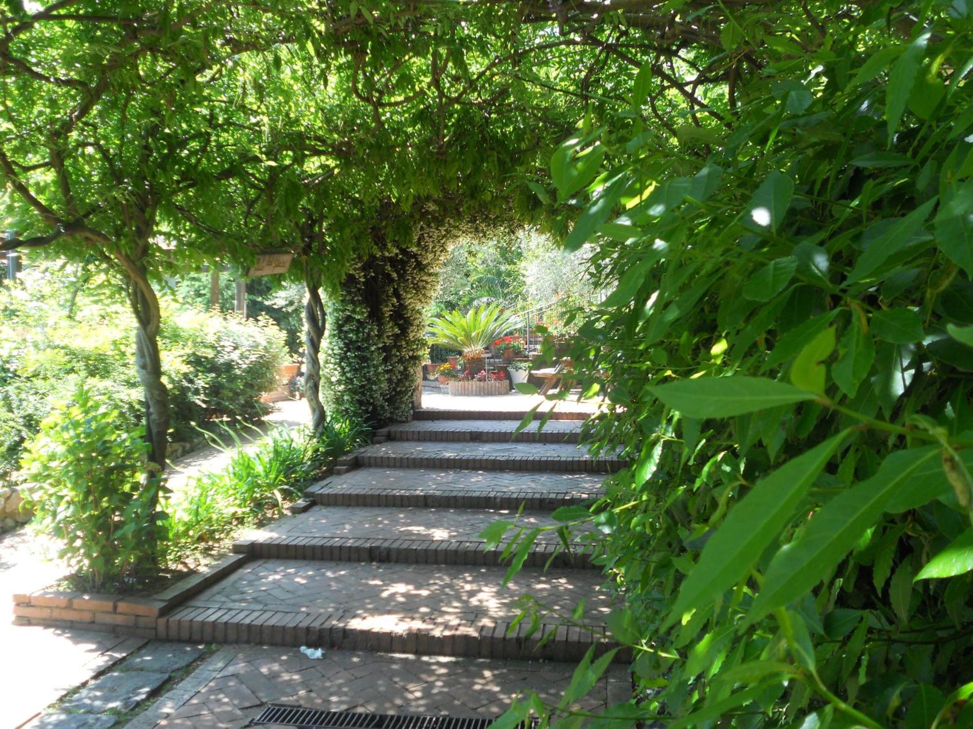 Agriturismo La Casa Del Ghiro Pimonte Exteriér fotografie